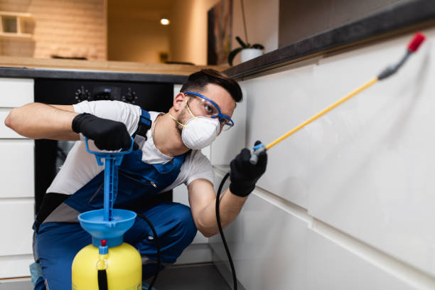 Trusted Westway, TX Pest Control Experts