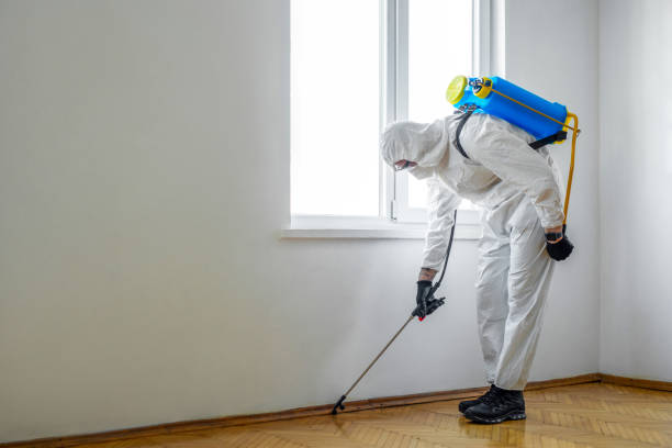 Best Affordable Pest Control Services  in Westway, TX