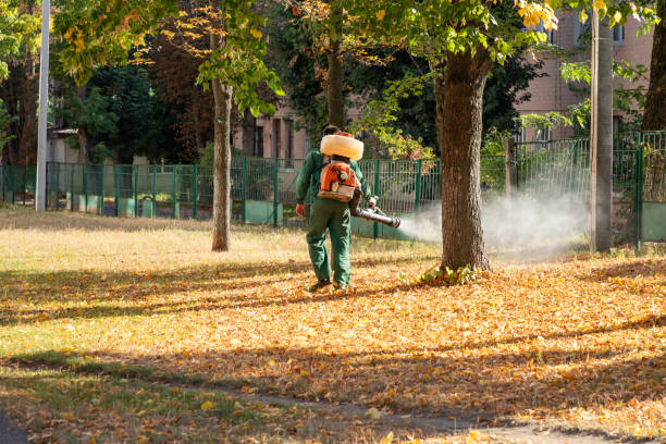 Best Best Pest Control Companies  in Westway, TX