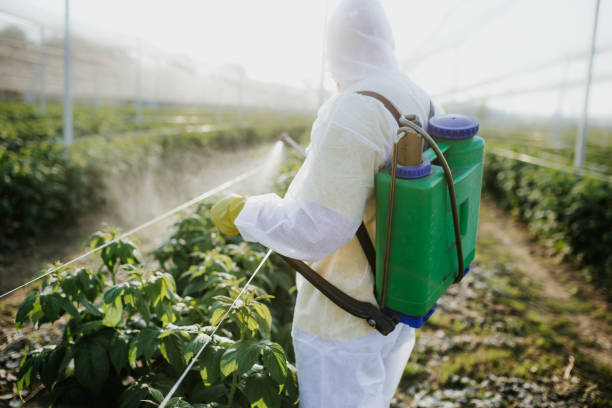 Pest Control Cost in Westway, TX